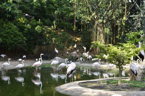 Kuala Lumpur Bird Park